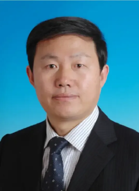 Prof. Huajun Li 